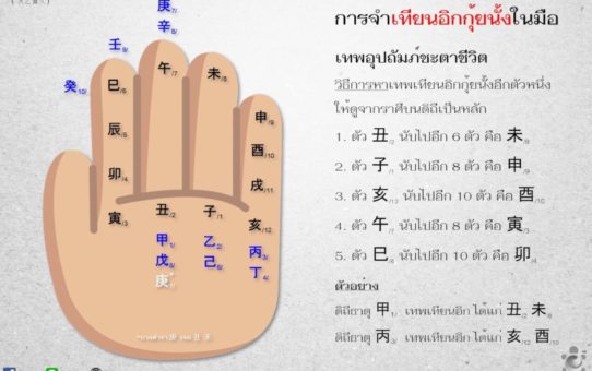 การนับนิ้วมือของซินแส