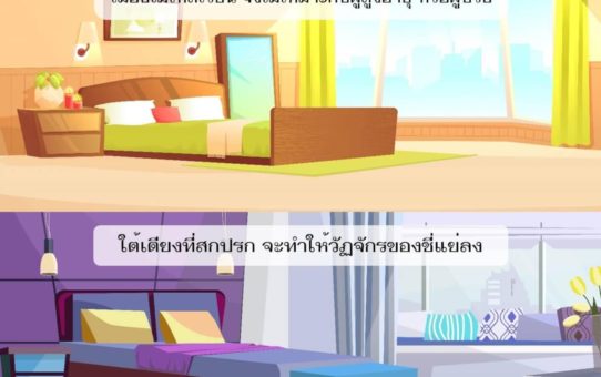 เตียงดีดีอยู่ที่ไหน