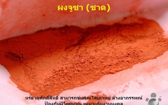 ผงจูซา