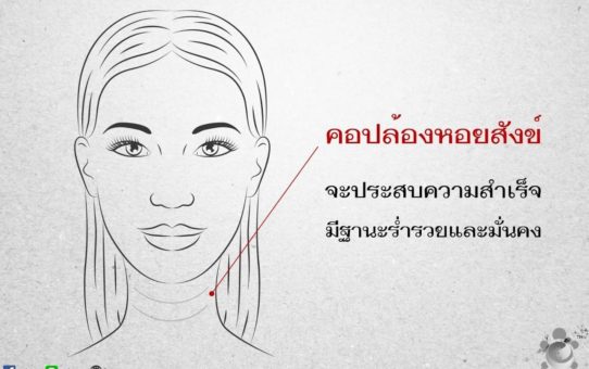 คอปล้องหอยสังข์
