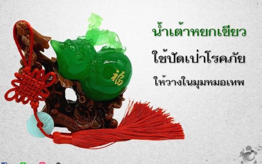 น้ำเต้าหยกเขียว