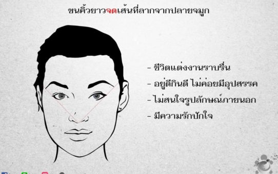 การทำนายโชคชะตาของคนด้วยขนคิ้ว