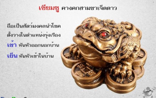 เซียมซู คางคกสามขาเจ็ดดาว