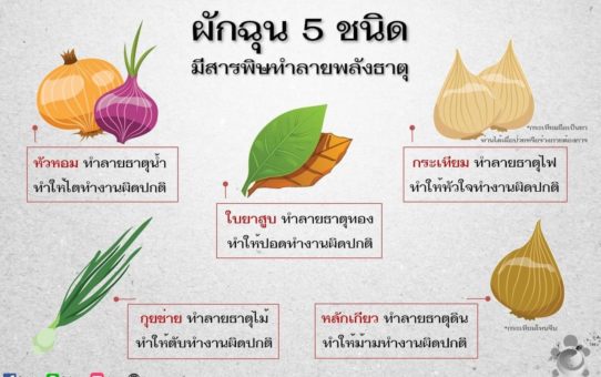 ผักฉุน 5 ชนิด