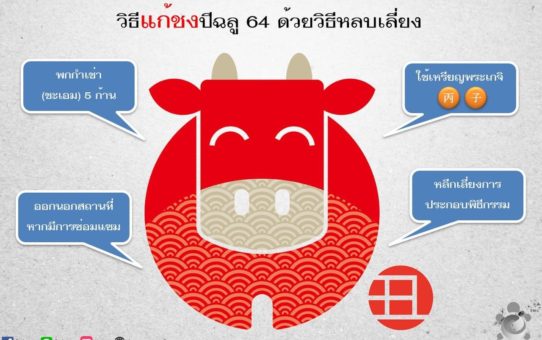 วิธีแก้ชงปีฉลู
