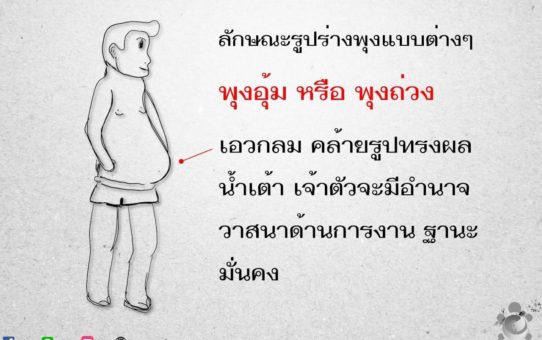 ลักษณะรูปพุงแบบต่างๆ