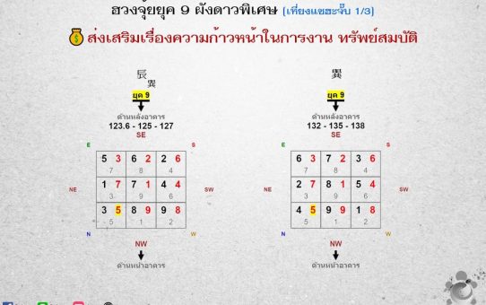 ผังดาวฮะจั๊บ
