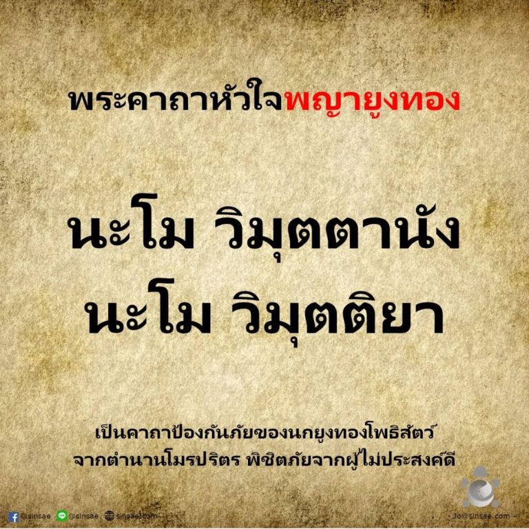 My Image 33